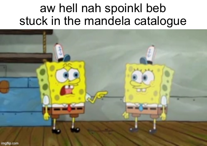 aw hell nah spoinkl beb stuck in the mandela catalogue | made w/ Imgflip meme maker