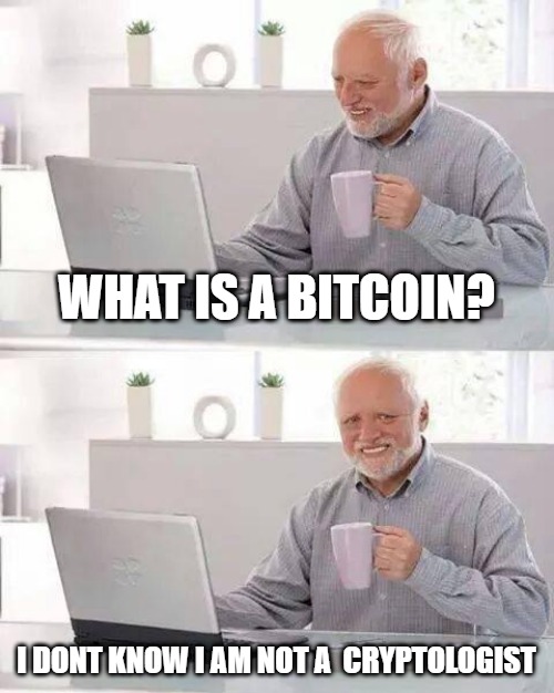 What is a bitcoin? | WHAT IS A BITCOIN? I DONT KNOW I AM NOT A  CRYPTOLOGIST | image tagged in what is bitcoin | made w/ Imgflip meme maker