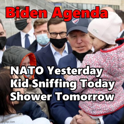 Biden European Trip Agenda Achieved | image tagged in poland,biden,kid sniffing,memes | made w/ Imgflip meme maker