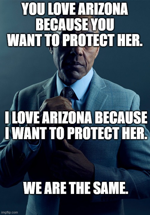 If you see this, please protect Arizona at all costs! (Azur Lane) | YOU LOVE ARIZONA BECAUSE YOU WANT TO PROTECT HER. I LOVE ARIZONA BECAUSE I WANT TO PROTECT HER. WE ARE THE SAME. | image tagged in gus fring we are not the same | made w/ Imgflip meme maker