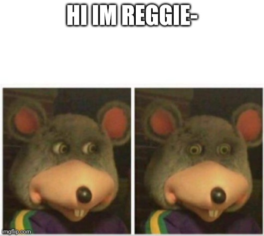 chuck e cheese rat stare | HI IM REGGIE- | image tagged in chuck e cheese rat stare | made w/ Imgflip meme maker