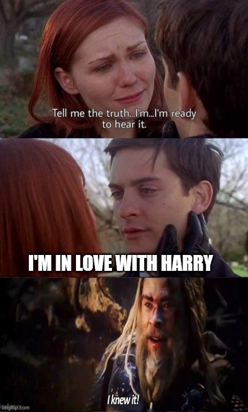 Spider Gay...Spider Gay... | I'M IN LOVE WITH HARRY | image tagged in tell me the truth i'm ready to hear it | made w/ Imgflip meme maker