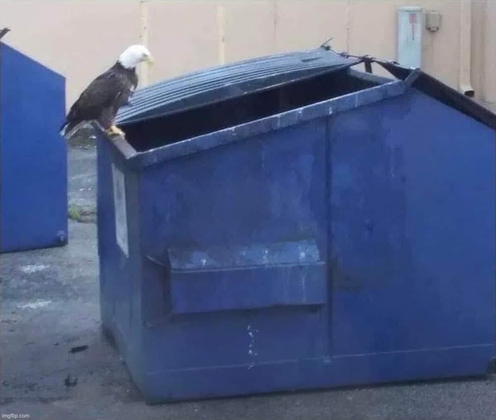 Eagle dumpster | image tagged in eagle dumpster | made w/ Imgflip meme maker