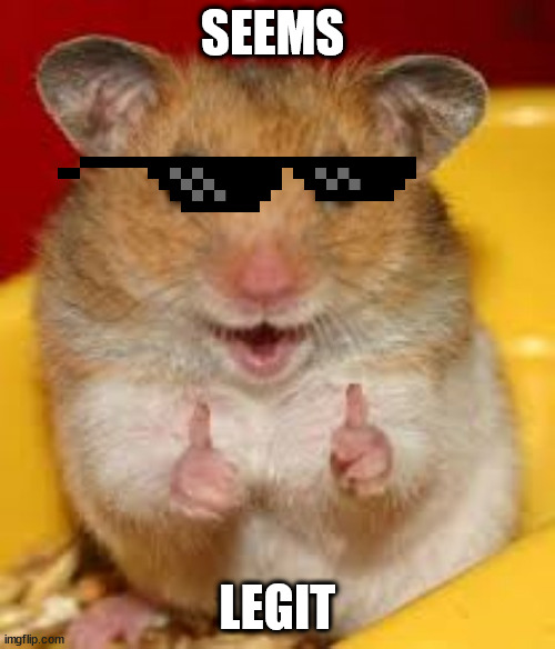 Thumbs up hamster  | SEEMS; LEGIT | image tagged in thumbs up hamster | made w/ Imgflip meme maker