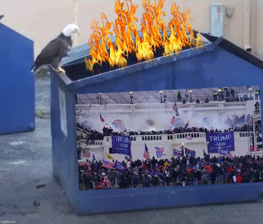 Eagle dumpster fire | image tagged in eagle dumpster fire,jan 6,capitol hill,riot,maga,america | made w/ Imgflip meme maker