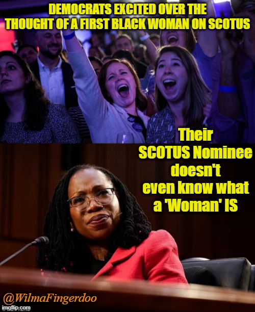 DEMOCRATS EXCITED OVER THE THOUGHT OF A FIRST BLACK WOMAN ON SCOTUS; Their SCOTUS Nominee doesn't even know what a 'Woman' IS; @WilmaFingerdoo | image tagged in brown scotus | made w/ Imgflip meme maker