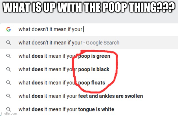 ??? | WHAT IS UP WITH THE POOP THING??? | image tagged in poop,google search | made w/ Imgflip meme maker