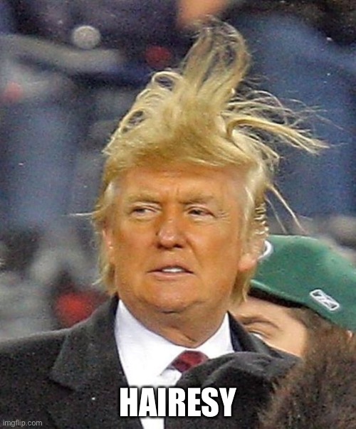 Hairesy | HAIRESY | image tagged in donald trumph hair | made w/ Imgflip meme maker