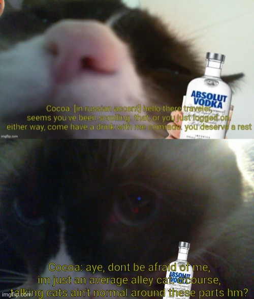 cocoa offers you a drink pt.2 Imgflip