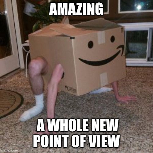 Amazon Box Guy | AMAZING A WHOLE NEW POINT OF VIEW | image tagged in amazon box guy | made w/ Imgflip meme maker