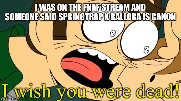 like bruh people are this stupid | I WAS ON THE FNAF STREAM AND SOMEONE SAID SPRINGTRAP X BALLORA IS CANON | image tagged in i wish you were dead | made w/ Imgflip meme maker