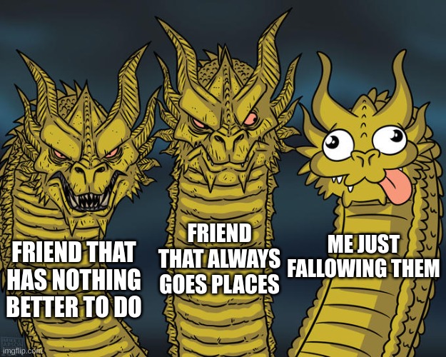 Three-headed Dragon | FRIEND THAT ALWAYS GOES PLACES; ME JUST FALLOWING THEM; FRIEND THAT HAS NOTHING BETTER TO DO | image tagged in three-headed dragon | made w/ Imgflip meme maker