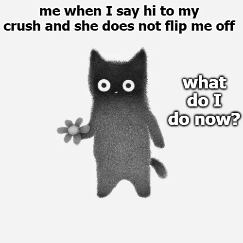 me when I say hi to my crush and she does not flip me off; what do I do now? | image tagged in flip | made w/ Imgflip meme maker