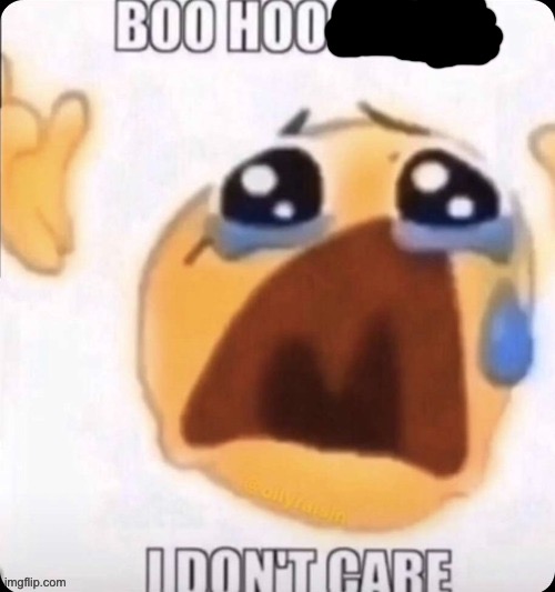 boo hoo I don't care | image tagged in boo hoo i don't care | made w/ Imgflip meme maker