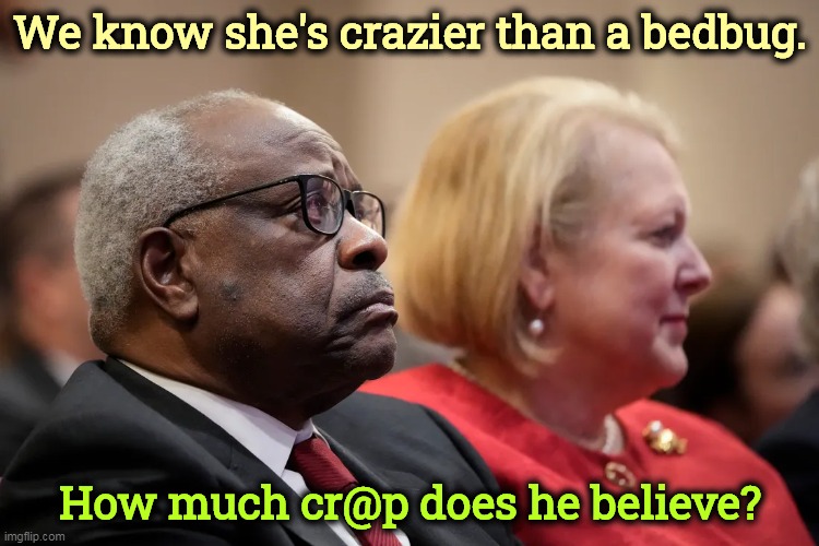 Now that we've established that she's an idiot, how deep in this is he? | We know she's crazier than a bedbug. How much cr@p does he believe? | image tagged in supreme court,qanon,dirty | made w/ Imgflip meme maker
