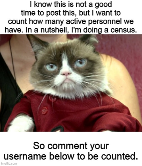 Grumpy Cat in Red Clothes | I know this is not a good time to post this, but I want to count how many active personnel we have. In a nutshell, I'm doing a census. So comment your username below to be counted. | image tagged in grumpy cat in red clothes | made w/ Imgflip meme maker