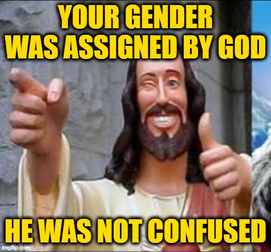 Good guy Jesus  | YOUR GENDER WAS ASSIGNED BY GOD; HE WAS NOT CONFUSED | image tagged in good guy jesus | made w/ Imgflip meme maker