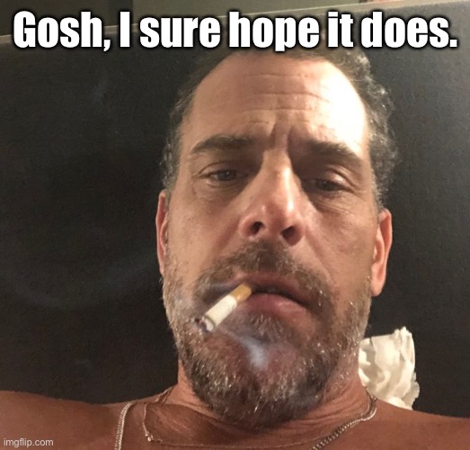 Hunter Biden | Gosh, I sure hope it does. | image tagged in hunter biden | made w/ Imgflip meme maker