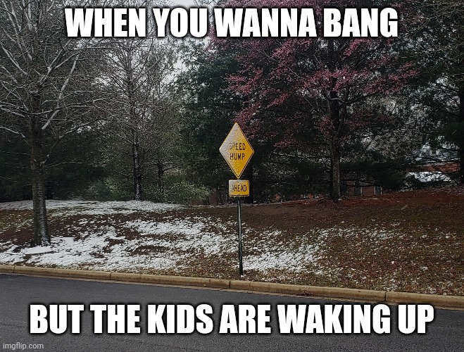 Speed hump | WHEN YOU WANNA BANG; BUT THE KIDS ARE WAKING UP | image tagged in hump,kids,parents | made w/ Imgflip meme maker