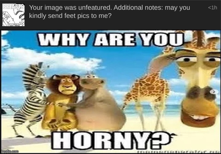 image tagged in why are you horny | made w/ Imgflip meme maker