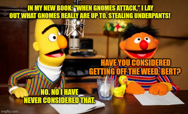 Bert explains why Scar might invade Uzbekistan next. | IN MY NEW BOOK: "WHEN GNOMES ATTACK," I LAY OUT WHAT GNOMES REALLY ARE UP TO. STEALING UNDERPANTS! HAVE YOU CONSIDERED GETTING OFF THE WEED, BERT? NO. NO I HAVE NEVER CONSIDERED THAT. | image tagged in bert and ernie radio,scar,might be causing,ww3,conspiracy theory | made w/ Imgflip meme maker