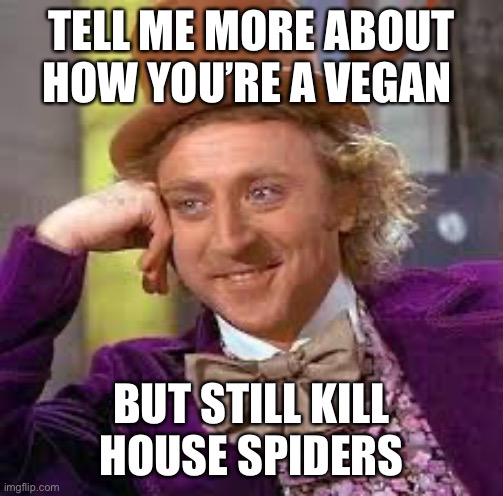 Spider killer |  TELL ME MORE ABOUT HOW YOU’RE A VEGAN; BUT STILL KILL HOUSE SPIDERS | image tagged in gene wilder,tell me more | made w/ Imgflip meme maker
