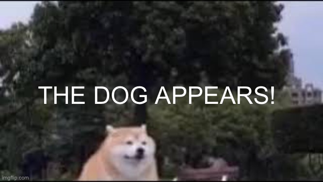 The dog appears! Blank Meme Template