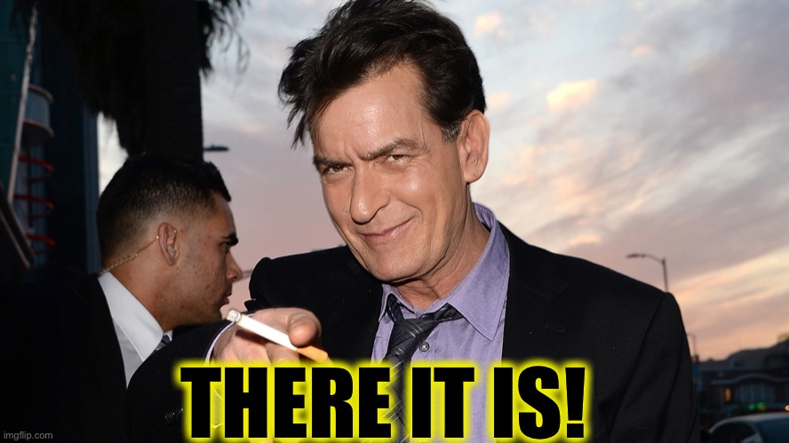 charlie sheen | THERE IT IS! | image tagged in charlie sheen | made w/ Imgflip meme maker