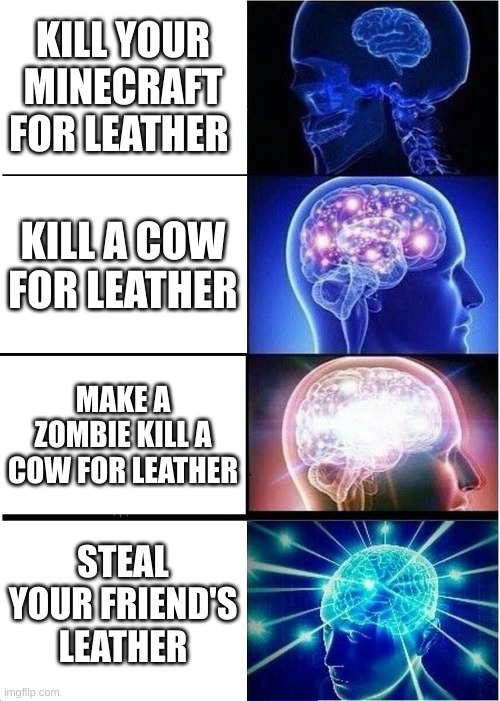 Expanding Brain | KILL YOUR MINECRAFT FOR LEATHER; KILL A COW FOR LEATHER; MAKE A ZOMBIE KILL A COW FOR LEATHER; STEAL YOUR FRIEND'S LEATHER | image tagged in memes,expanding brain | made w/ Imgflip meme maker