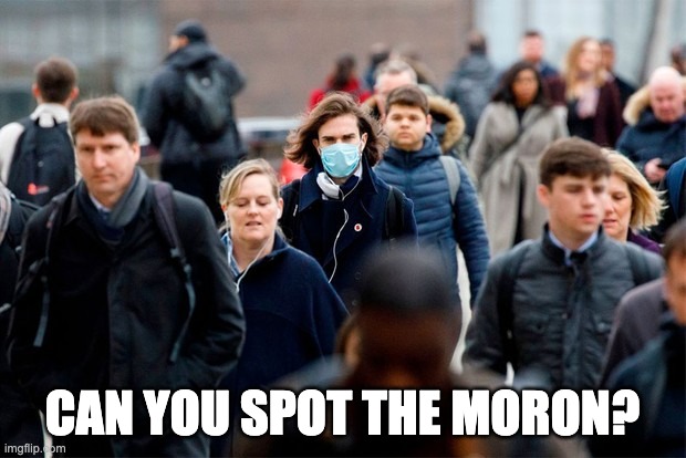 One Moron to Rule Them All |  CAN YOU SPOT THE MORON? | image tagged in one mask | made w/ Imgflip meme maker