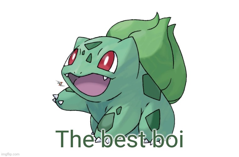 bulbasaur | The best boi | image tagged in bulbasaur | made w/ Imgflip meme maker