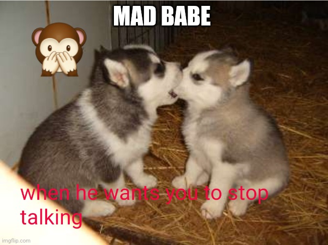 Talk to much | MAD BABE | image tagged in babe,mad dog | made w/ Imgflip meme maker