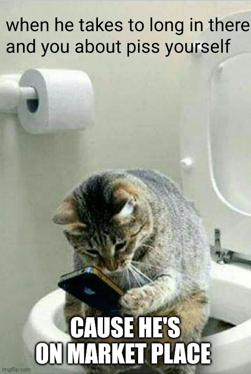 Bathroom | CAUSE HE'S ON MARKET PLACE | image tagged in toilet,funny cat memes | made w/ Imgflip meme maker