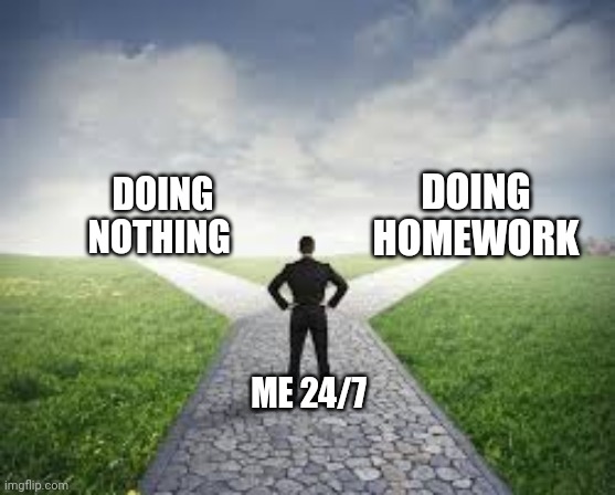 Everybody, everyday | DOING HOMEWORK; DOING NOTHING; ME 24/7 | image tagged in different roads | made w/ Imgflip meme maker