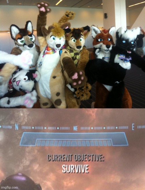 image tagged in furries,current objective survive | made w/ Imgflip meme maker