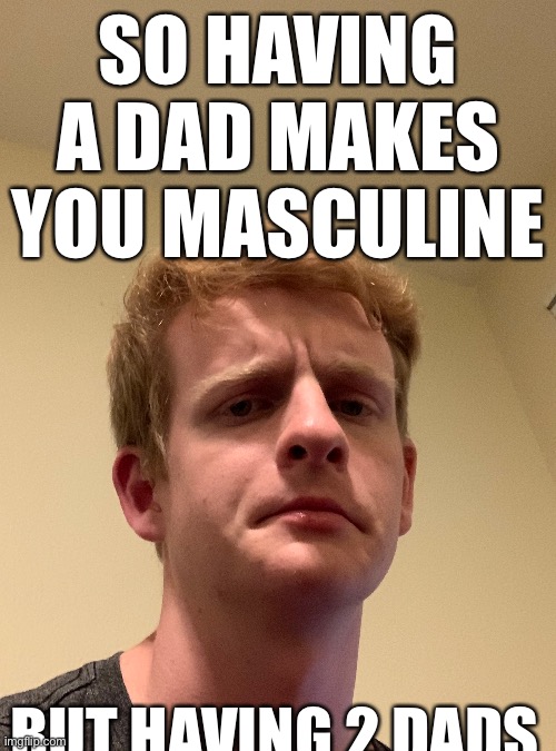 SO HAVING A DAD MAKES YOU MASCULINE; BUT HAVING 2 DADS | made w/ Imgflip meme maker