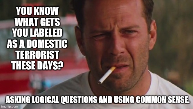 That's about all it takes. | YOU KNOW WHAT GETS YOU LABELED AS A DOMESTIC TERRORIST THESE DAYS? ASKING LOGICAL QUESTIONS AND USING COMMON SENSE. | image tagged in memes | made w/ Imgflip meme maker