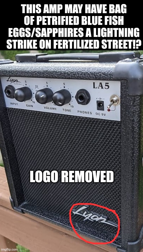 treasure hunt stolen property | THIS AMP MAY HAVE BAG OF PETRIFIED BLUE FISH EGGS/SAPPHIRES A LIGHTNING STRIKE ON FERTILIZED STREET!? LOGO REMOVED | image tagged in sapphires,bag of uranium,fallout,arkfall,petrified fish eggs,lyon 9 volt amp | made w/ Imgflip meme maker