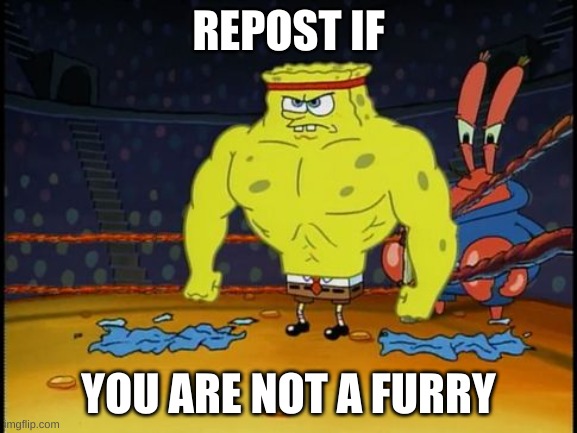 Repost if you are not a furry | REPOST IF; YOU ARE NOT A FURRY | image tagged in buff spongebob | made w/ Imgflip meme maker