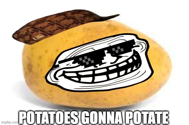 potatoes gonna potate | POTATOES GONNA POTATE | image tagged in potato | made w/ Imgflip meme maker