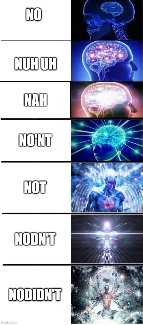 Brain Growing 7 stages | NO; NUH UH; NAH; NO'NT; NOT; NODN'T; NODIDN'T | image tagged in brain growing 7 stages | made w/ Imgflip meme maker