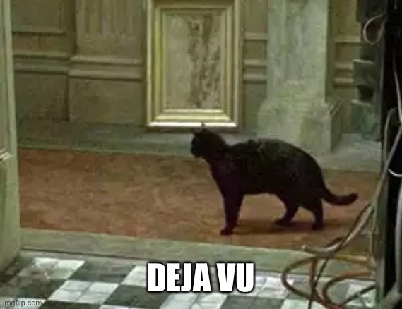 Matrix cat | DEJA VU | image tagged in matrix cat | made w/ Imgflip meme maker