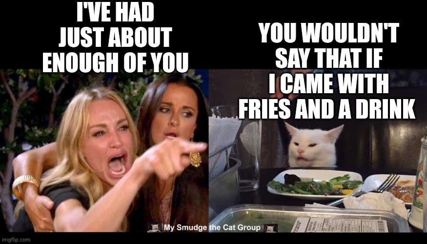I'VE HAD JUST ABOUT ENOUGH OF YOU; YOU WOULDN'T SAY THAT IF I CAME WITH FRIES AND A DRINK | image tagged in smudge the cat,woman yelling at cat | made w/ Imgflip meme maker