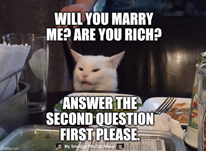 WILL YOU MARRY ME? ARE YOU RICH? ANSWER THE SECOND QUESTION FIRST PLEASE. | image tagged in smudge the cat,woman yelling at cat | made w/ Imgflip meme maker