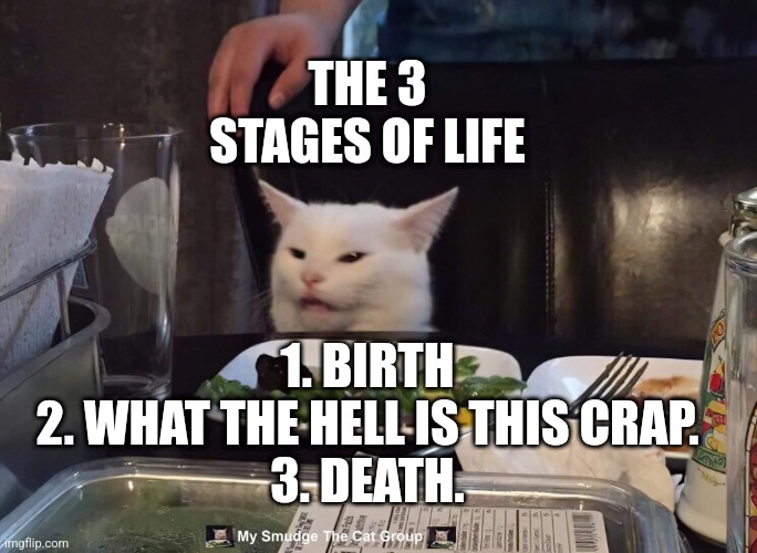  THE 3 STAGES OF LIFE; 1. BIRTH
2. WHAT THE HELL IS THIS CRAP.
3. DEATH. | image tagged in smudge the cat | made w/ Imgflip meme maker