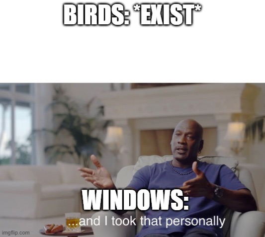 Bird poop be everywhere | BIRDS: *EXIST*; WINDOWS: | image tagged in and i took that personally | made w/ Imgflip meme maker