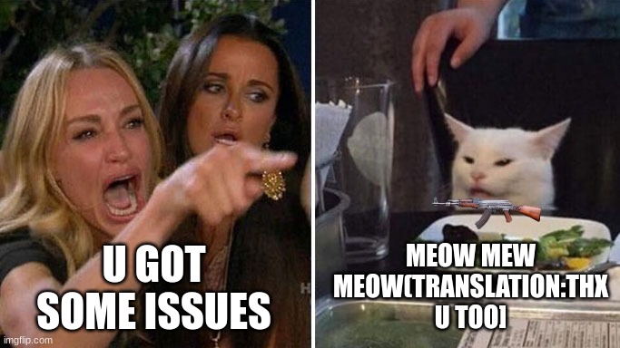 Angry lady cat | MEOW MEW MEOW(TRANSLATION:THX U TOO]; U GOT SOME ISSUES | image tagged in angry lady cat | made w/ Imgflip meme maker