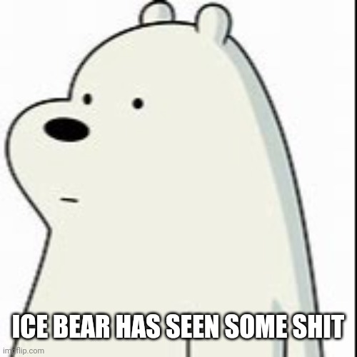 He knows where you hid the body | ICE BEAR HAS SEEN SOME SHIT | made w/ Imgflip meme maker