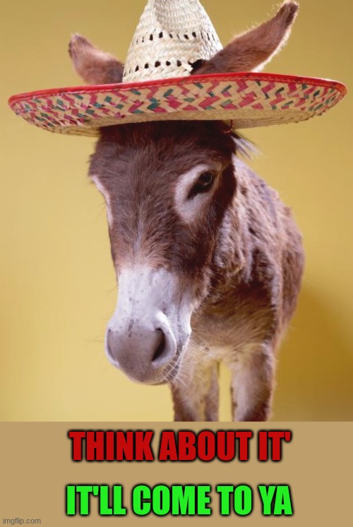 Think about it it'll come to ya |  IT'LL COME TO YA; THINK ABOUT IT' | image tagged in donkey,funny,cute,insult,ass,hat | made w/ Imgflip meme maker