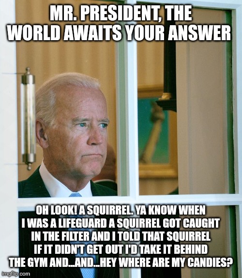 Trump was dangerous to stupid people. Biden is dangerous to the rest of us. We miss Trump | MR. PRESIDENT, THE WORLD AWAITS YOUR ANSWER; OH LOOK! A SQUIRREL. YA KNOW WHEN I WAS A LIFEGUARD A SQUIRREL GOT CAUGHT IN THE FILTER AND I TOLD THAT SQUIRREL IF IT DIDN'T GET OUT I'D TAKE IT BEHIND THE GYM AND...AND...HEY WHERE ARE MY CANDIES? | image tagged in donald trump,comprehending joey,dnc,stupid liberals,merica,help wanted | made w/ Imgflip meme maker